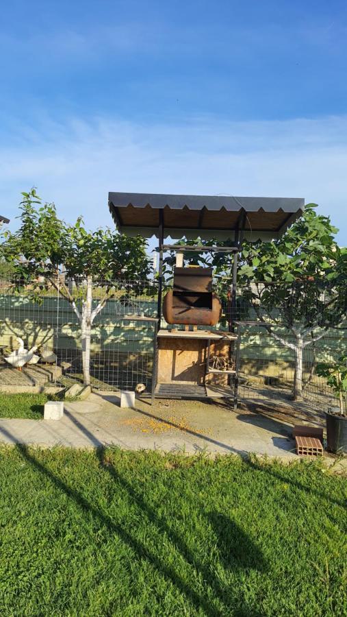 Room With Private Garden Shkoder Exterior photo