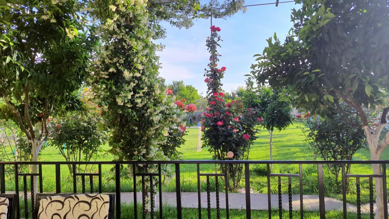 Room With Private Garden Shkoder Exterior photo